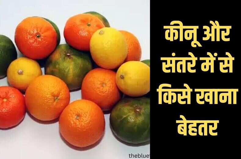 फलों की दुनियां के दोनों बेताज बादशाह हैं, लेकिन कीनू और संतरे में से किसे खाना बेहतर, general knowledge जानिये