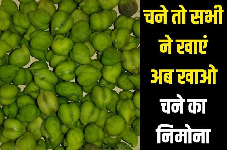 लपलपाती रहेगी हरे चने की ये सब्जी खाकर, नाम हैं चने का निमोना, जानों general knowledge&nbsp;