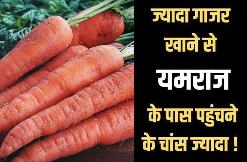 Carrot uses : संभल कर खाना लाल रंग की ये गाजर , कहीं लेने के देने ना पड़ जाये, general knowledge की ये बात उड़ा देगी आपके तोते