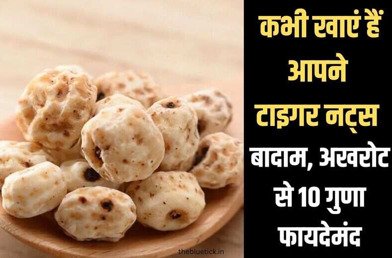 तहलका मचाने वाला टाइगर नट्स ड्राई फ्रूट जिसने बादाम अखरोट की लगा दी वाट,general knowledge जानिये कैसे 10 गुणा फायदेमंद