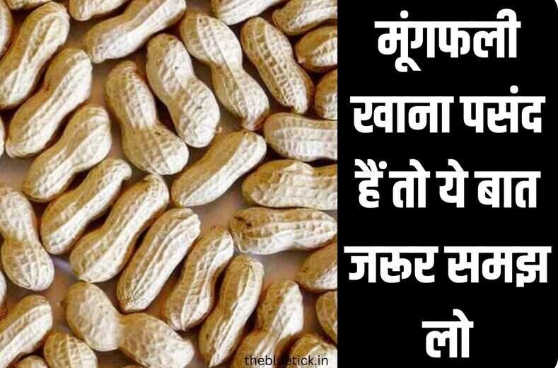 100 ग्राम कच्ची मूंगफली में 1 लीटर दूध जितना प्रोटीन होता है, लेकिन दा खाओंगे तो यमलोक पहुंच जाओगे, जानिये general knowledge