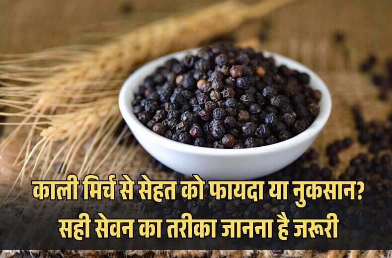 काली मिर्च से सेहत को फायदा या नुकसान? black pepper