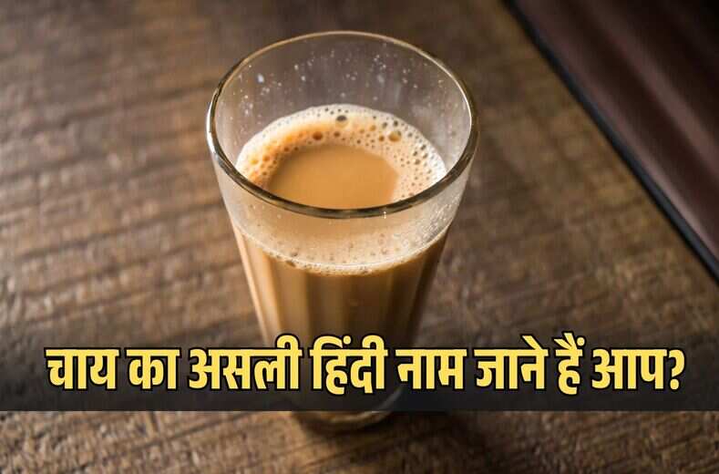 चाय का असली हिंदी नाम