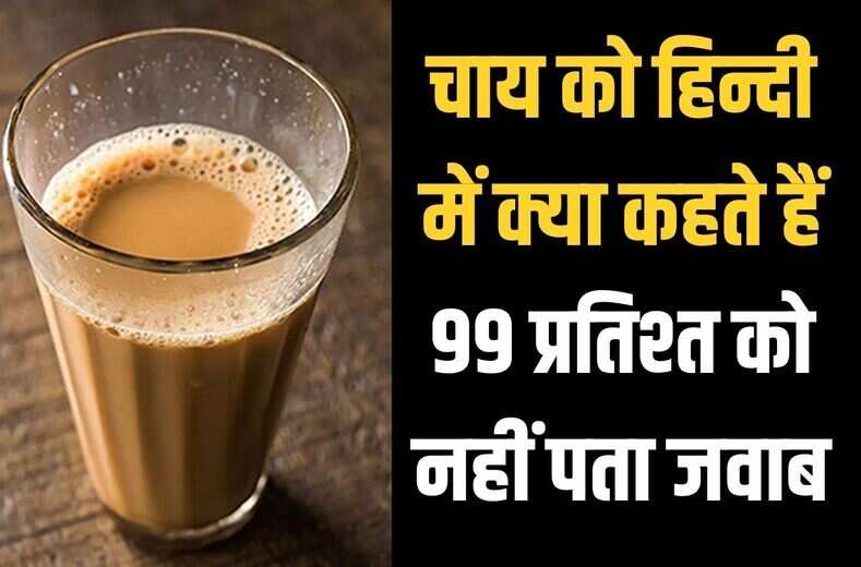 चाय पीते तो सब हैं लेकिन क्या आपको इसका हिन्दी में इसका नाम क्या हैं, नहीं पता होगी general knowledge