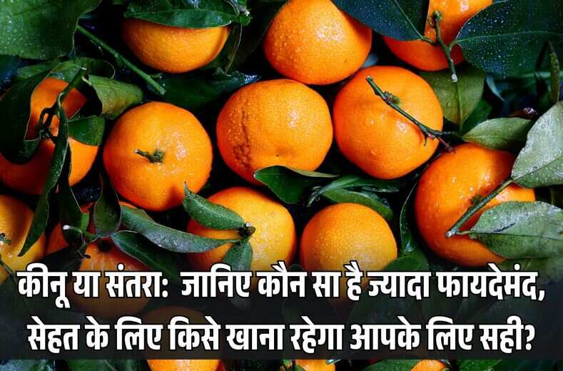 कीनू या संतरा, keenu or santra